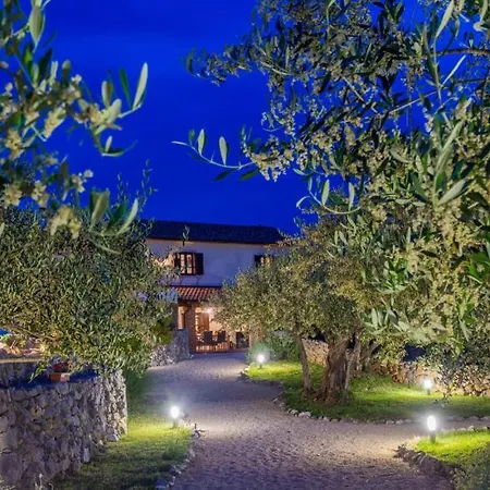 Casa Oliva By Vila